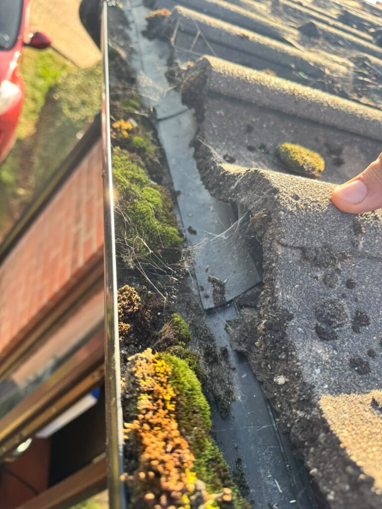 Moss-blocked gutter before clearing in Norfolk